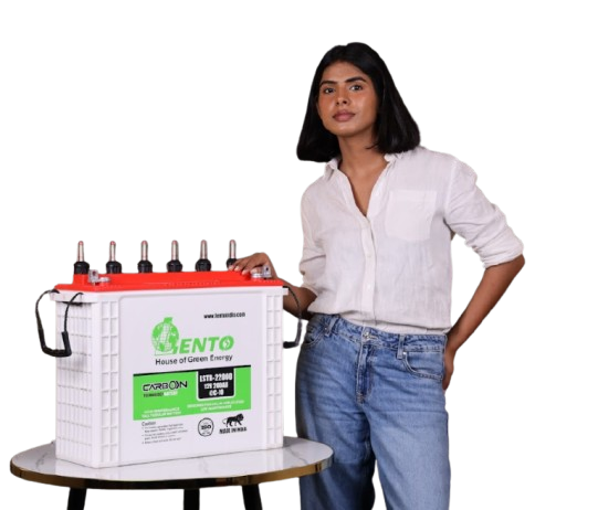 Lithium Ion Batteries (LiFePO4)